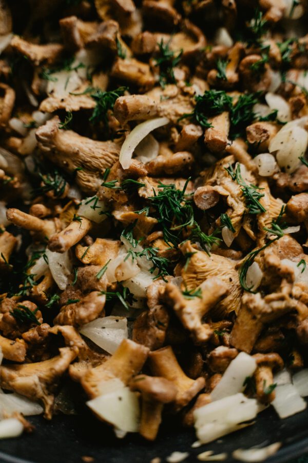 CENA DI CACCIA E FUNGHI