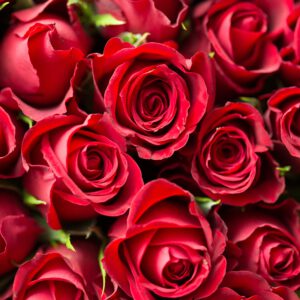 Valentinstag