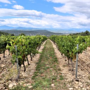 Weindegustation Sizilien